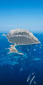 Снимка от отзива