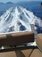 Снимка от отзива