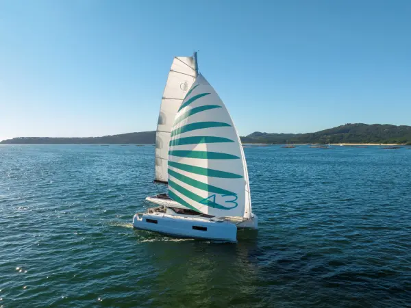 GOA 12