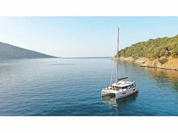 Anasa